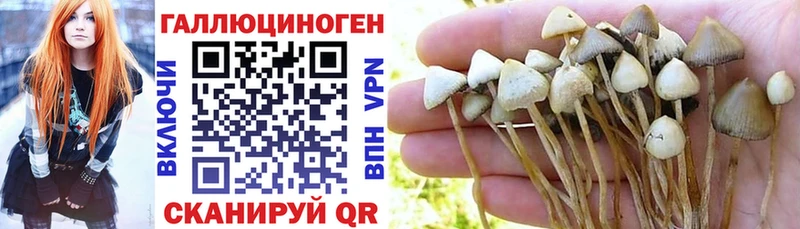 Галлюциногенные грибы Cubensis  Кировск 