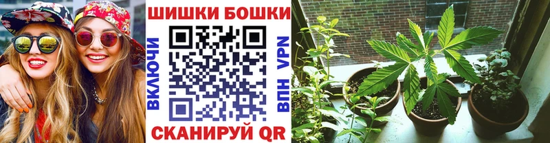Канабис гибрид Кировск